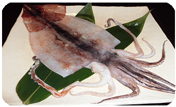 五稜郭 居酒屋 鹿六